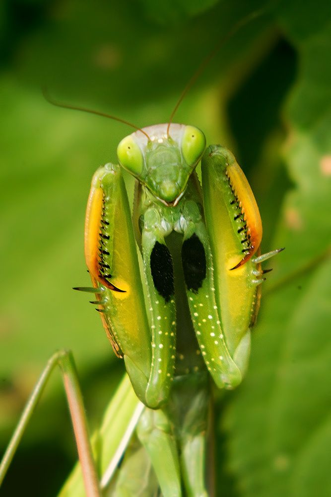 Photograph by Matko Matkovic