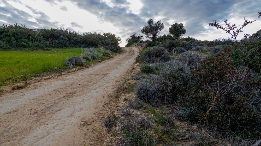 Photograph by Игорь Калинин