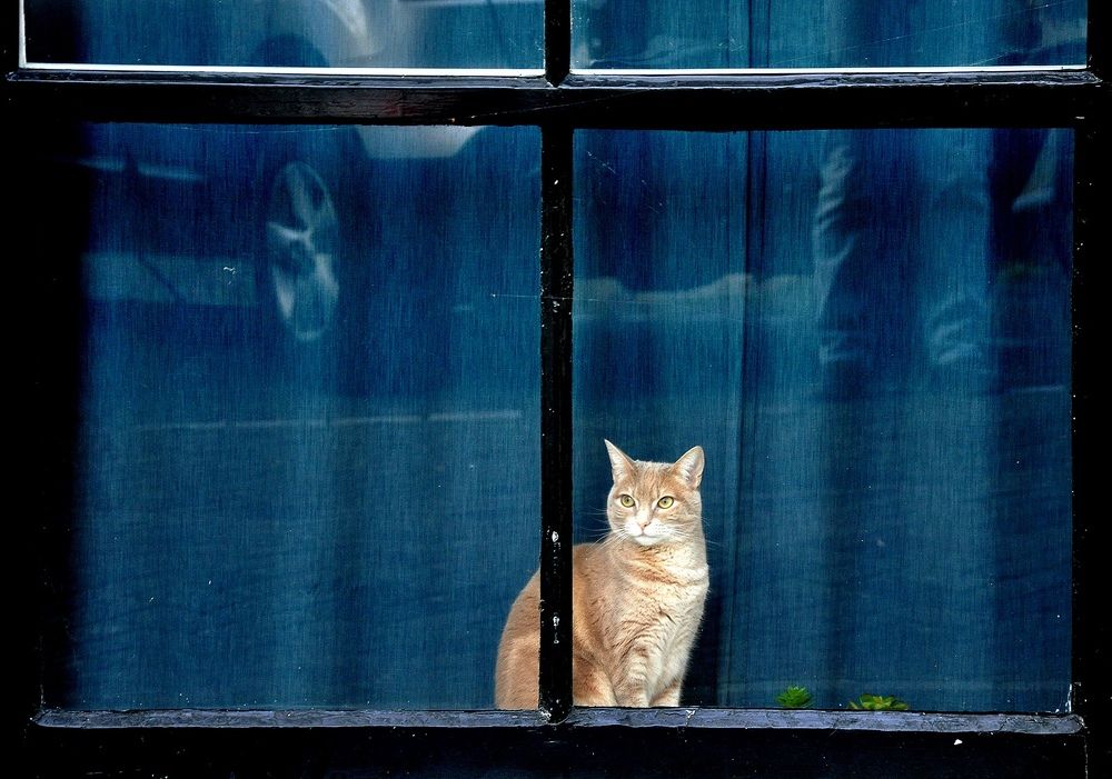 Фотография автора Ковяк Сергей Васильевич