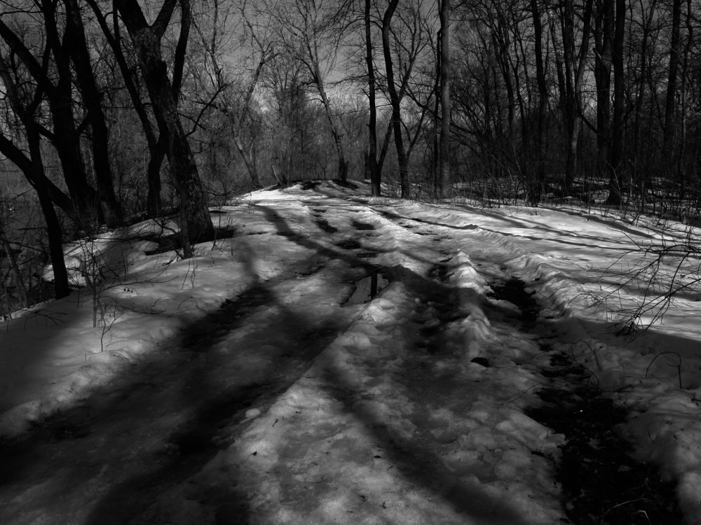 Photograph by Игорь Шевердин