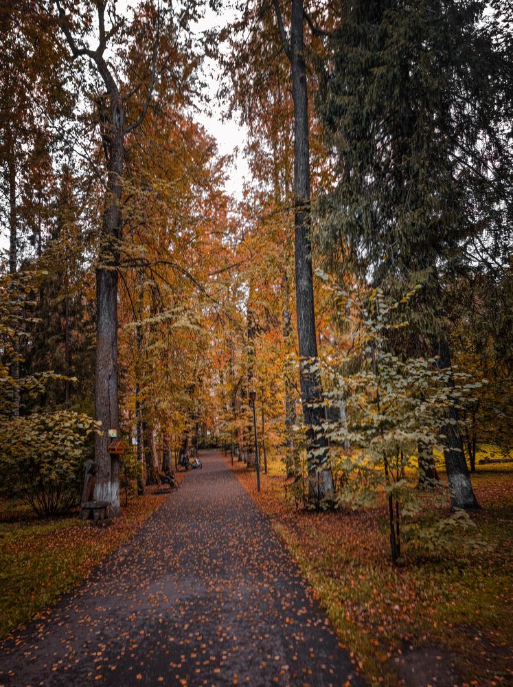 Photograph by Дина Чаица