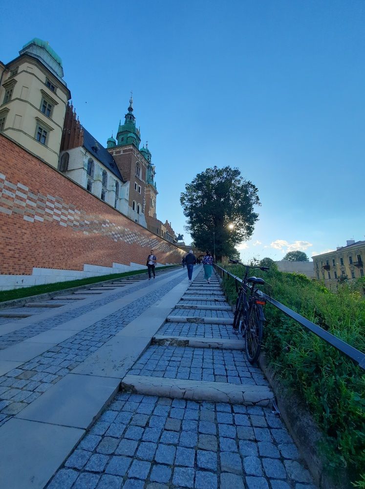 Фотография автора Tetiana Danylenko