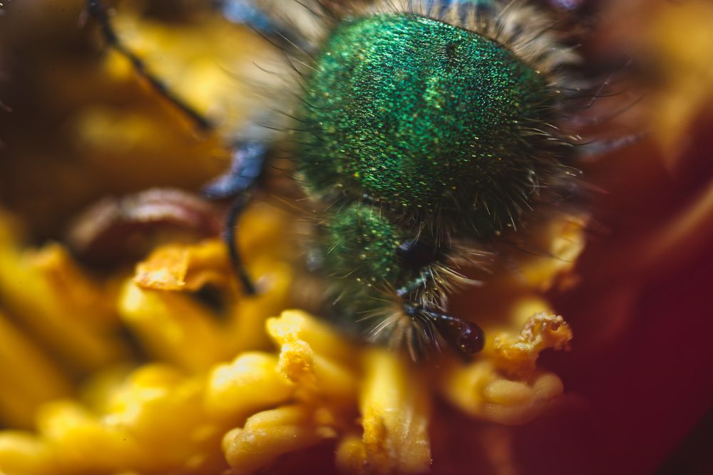 Photograph by Ольга Петухова