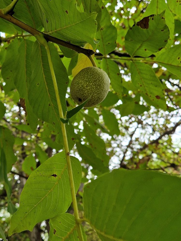 Photograph by Inessa Botasheva