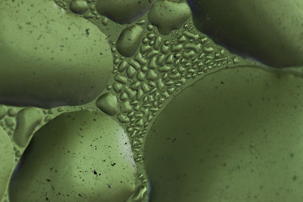 Photograph by Ольга Петухова