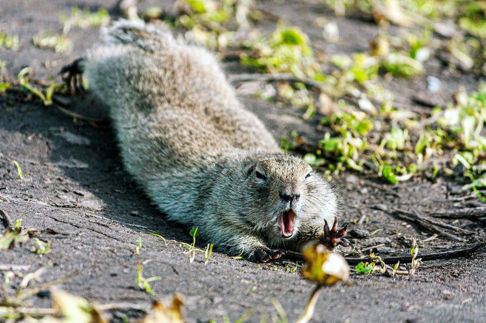 Photograph by Сергей Христинич