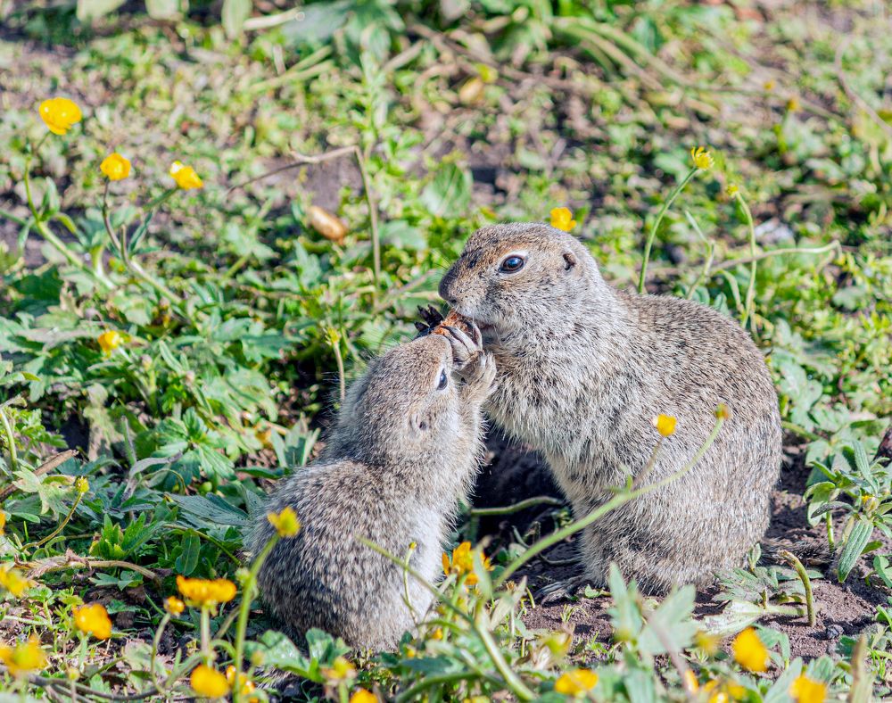 Photograph by Сергей Христинич