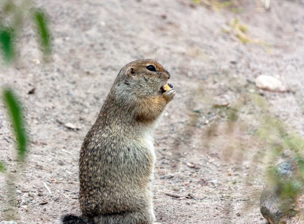 Photograph by Сергей Христинич