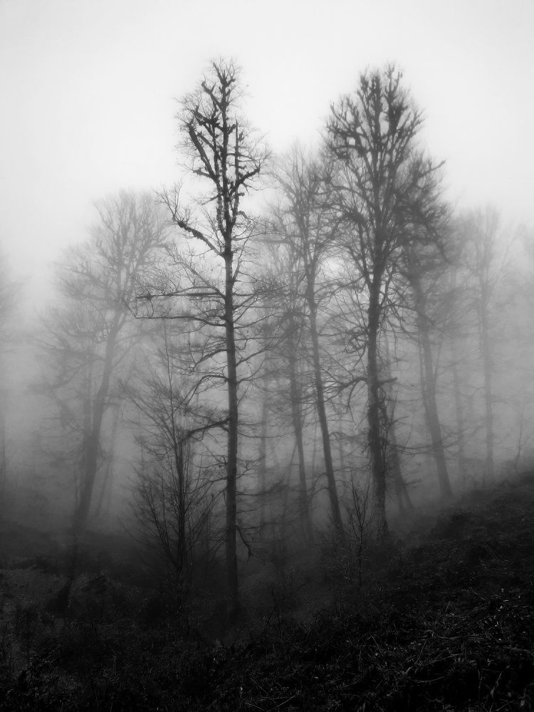 Photograph by Masoumeh Rahimi