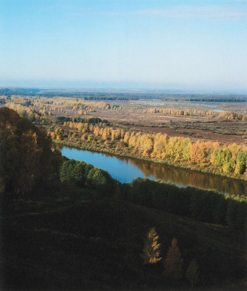 Утро на Лысой горе