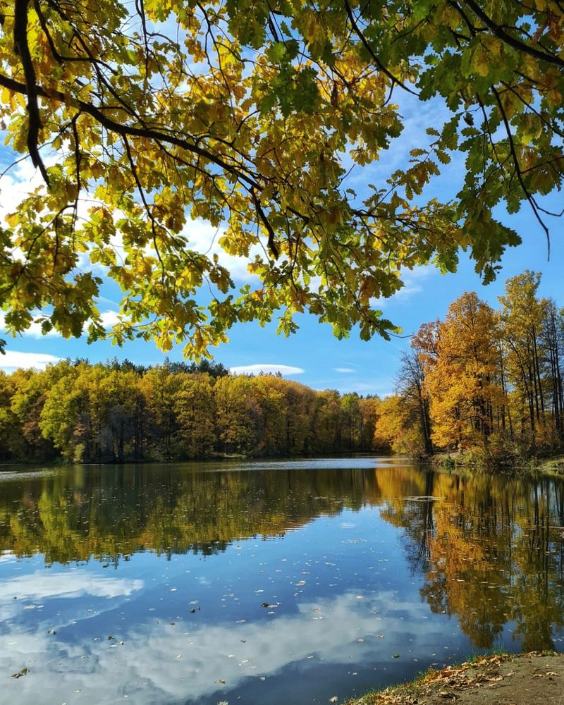 Photograph by Людмила Григорьева