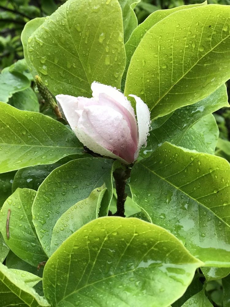 Photograph by Юлия