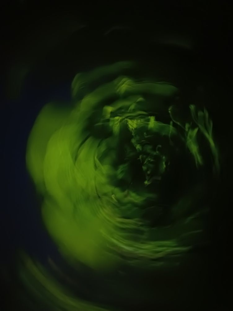 Photograph by Natalia Grushovna