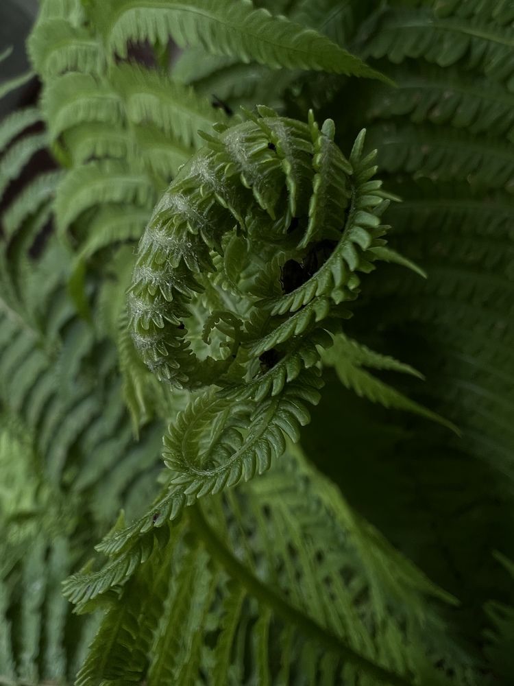 Photograph by Natalia Grushovna