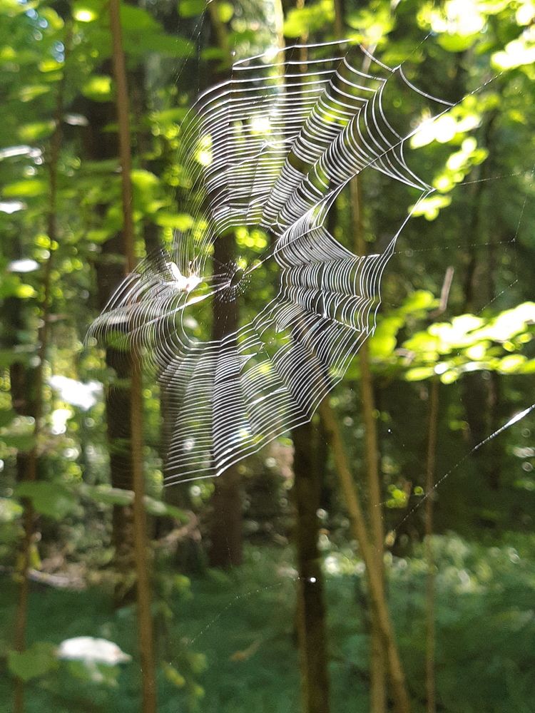 Photograph by Ольга Хромова