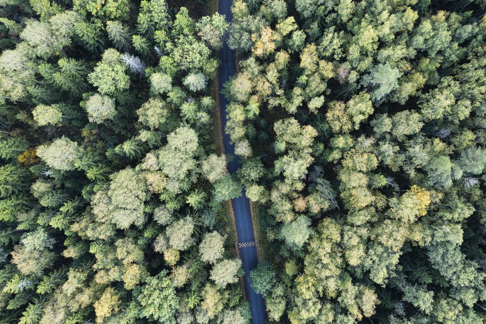 Photograph by Илья Пономарев