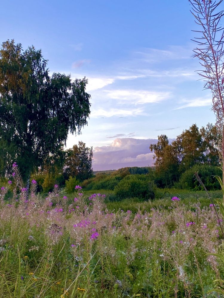 Photograph by Юлия Ефремова