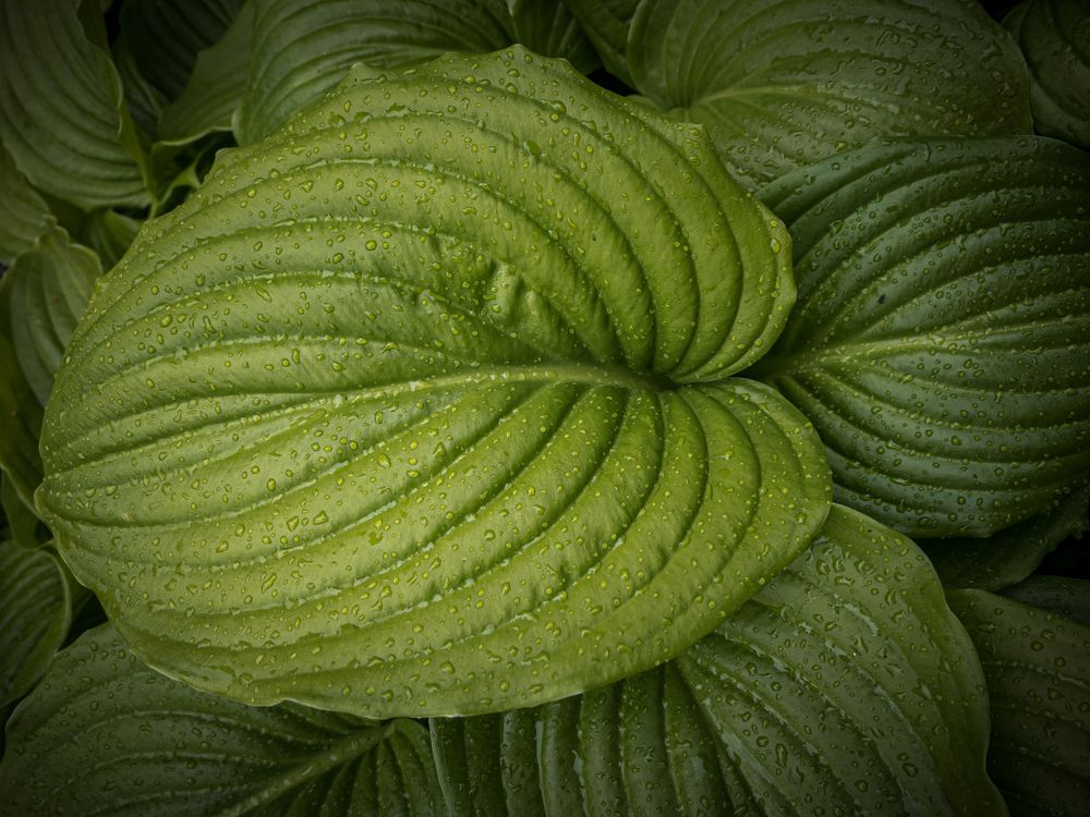 Photograph by Хавронина Марина