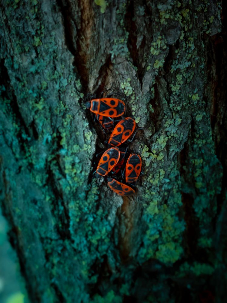 Photograph by Хавронина Марина