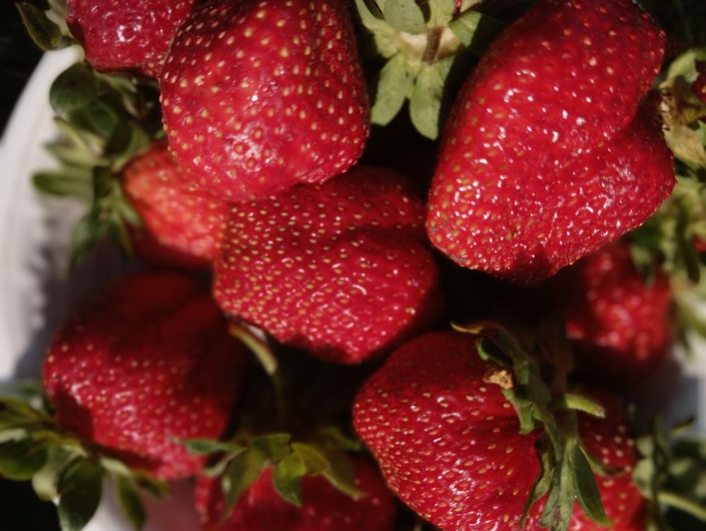 Искушение цветом. Color temptation