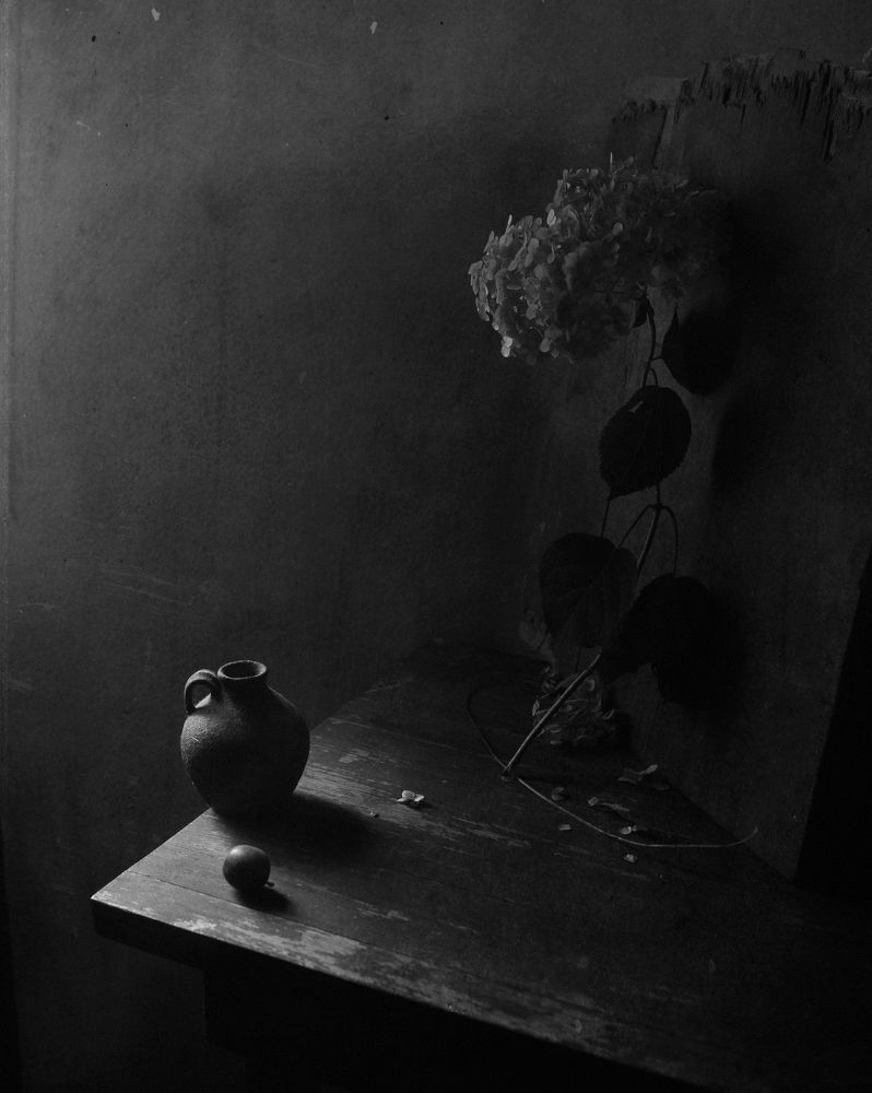 Photograph by Мария Сапего