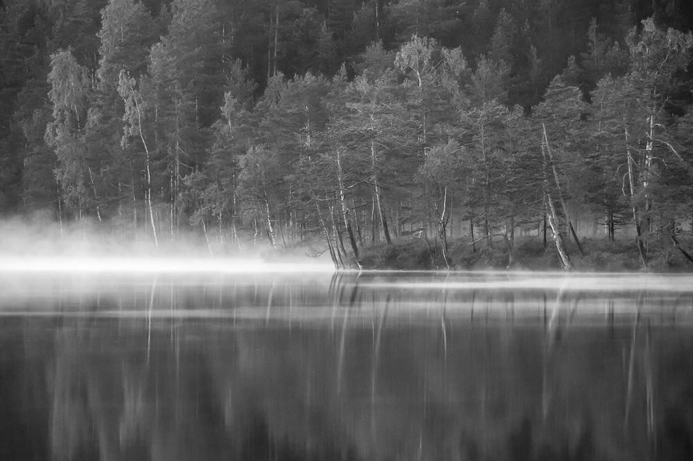 Photograph by Ярослав Лукьянов