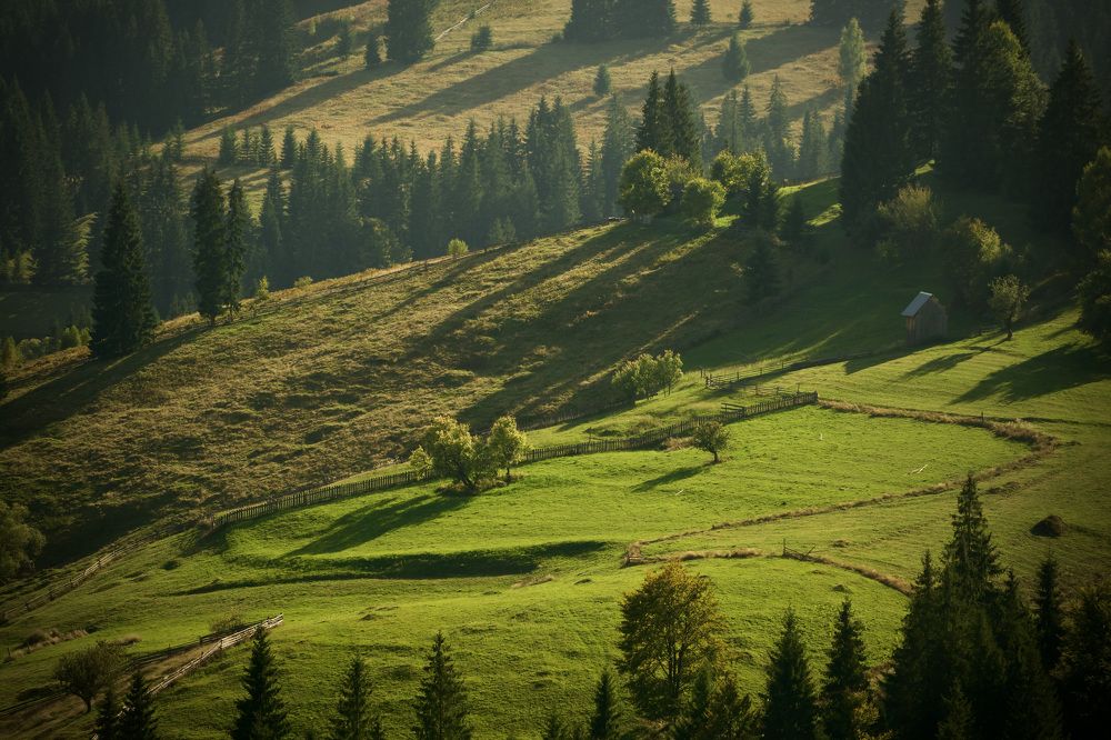 Photograph by Наталья Пирогова