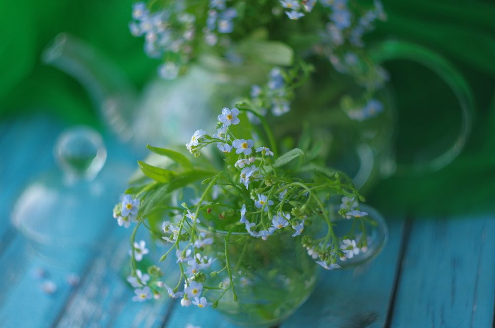 Photograph by Наталья Шумилова