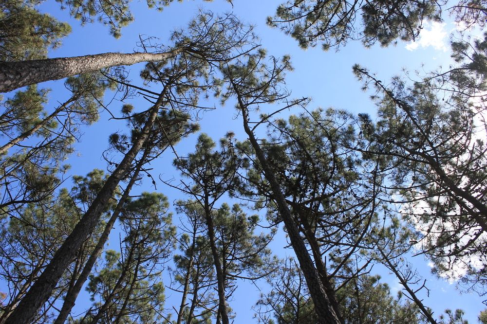 Photograph by Ferreira Francisco