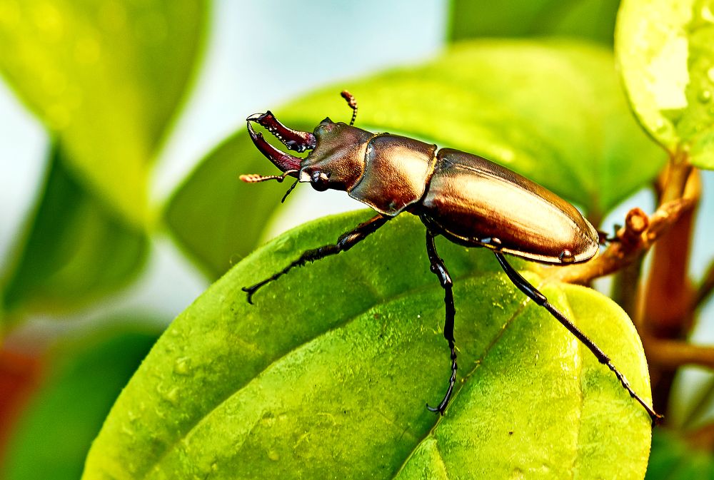 Photograph by Валерий Гончаров