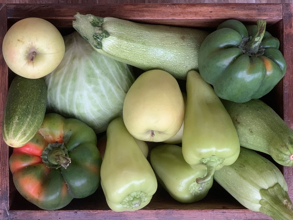 Photograph by Ирина Гаврилова