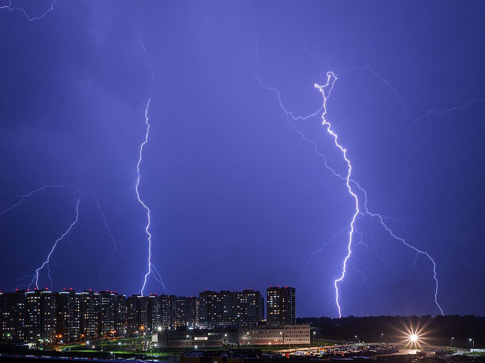 Photograph by Rogozina Olga