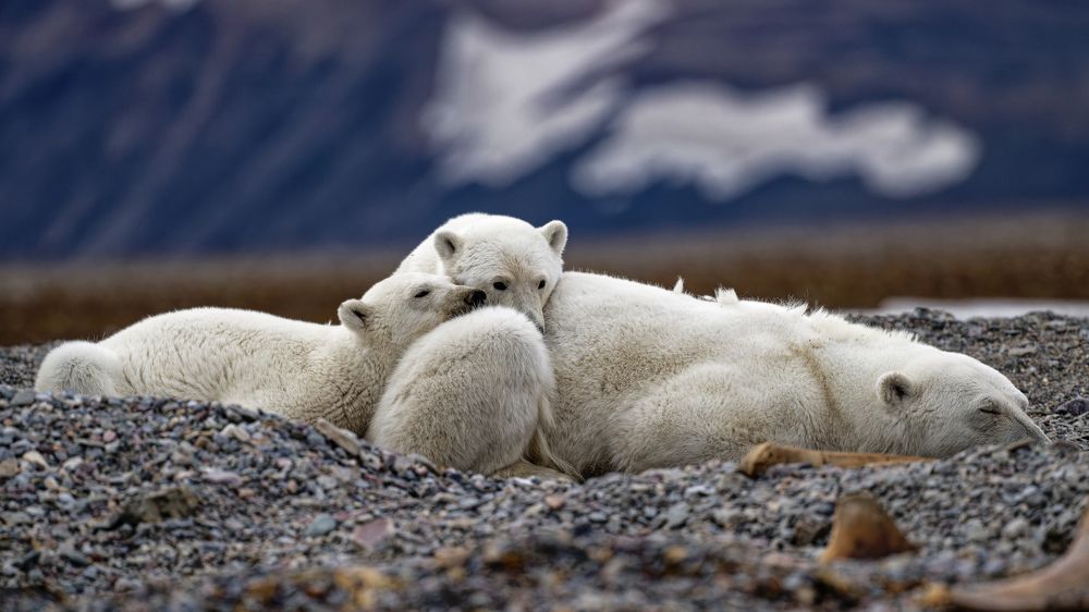 Photograph by Somdutt Prasad