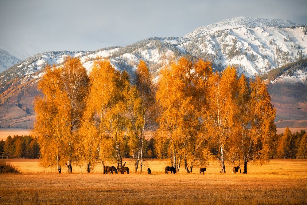 Photograph by Алексей Вымятнин