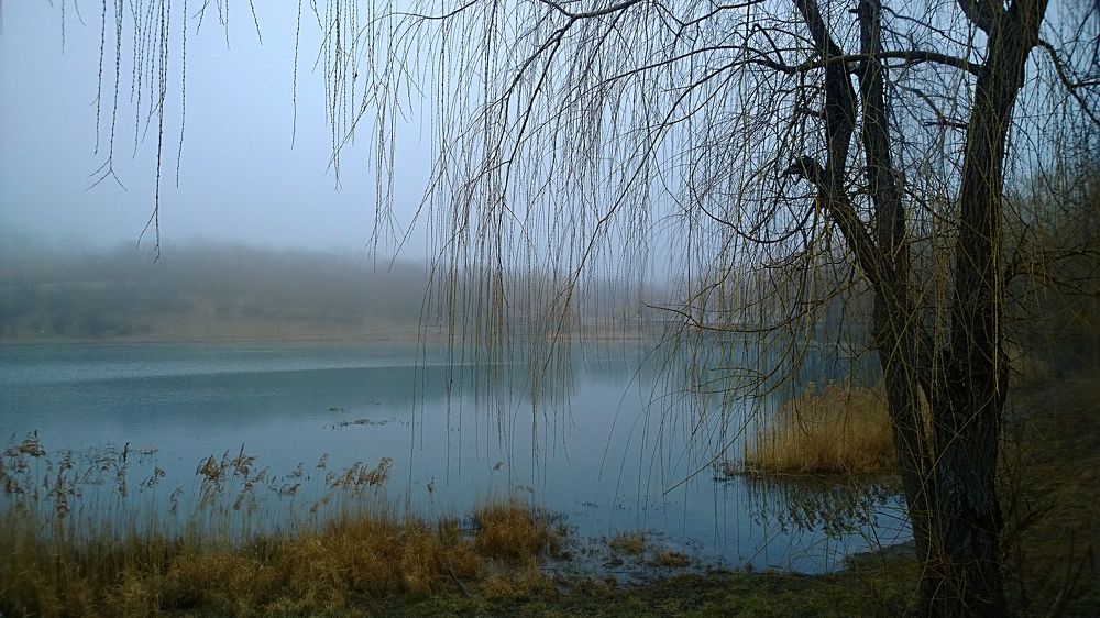 Photograph by Вадим Юрьевич