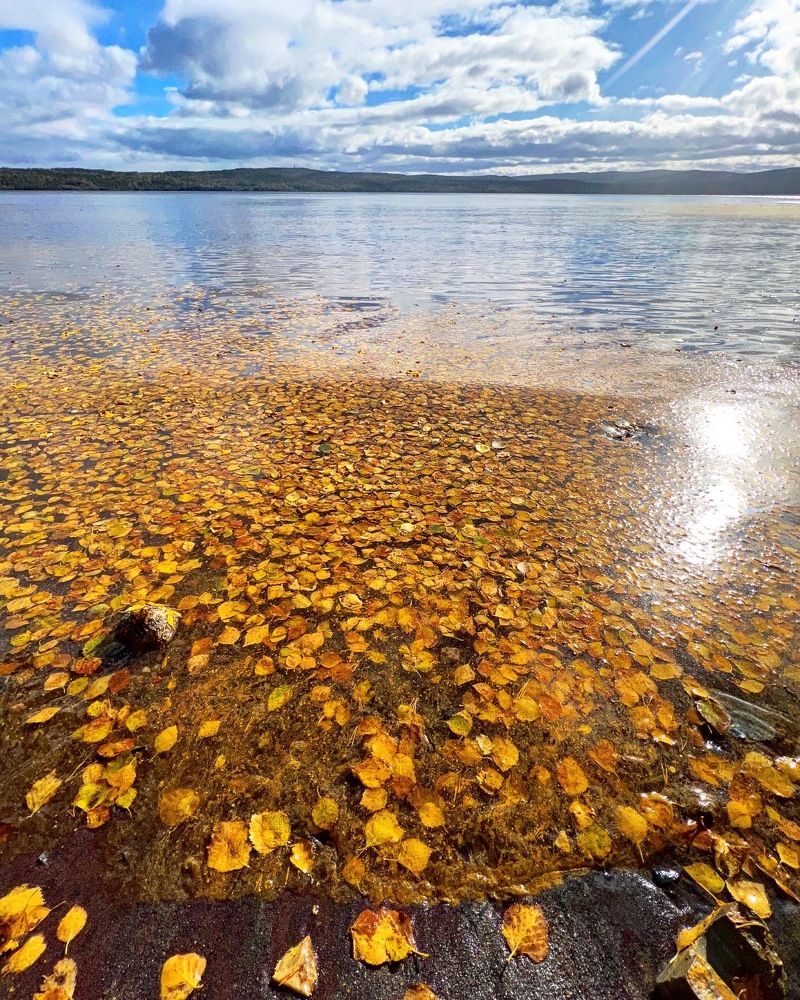 Photograph by Александра Акси