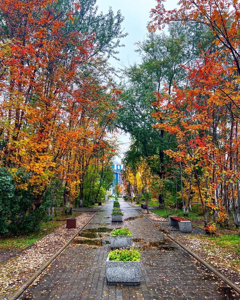 Photograph by Александра Акси