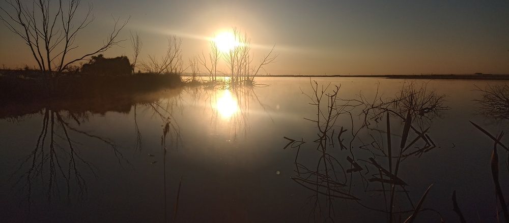 Утренняя рыбалка)