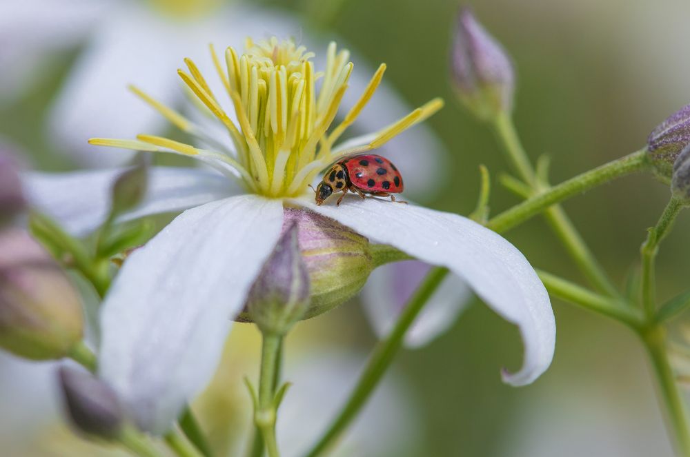 Фотография автора Татьяна Меньшикова