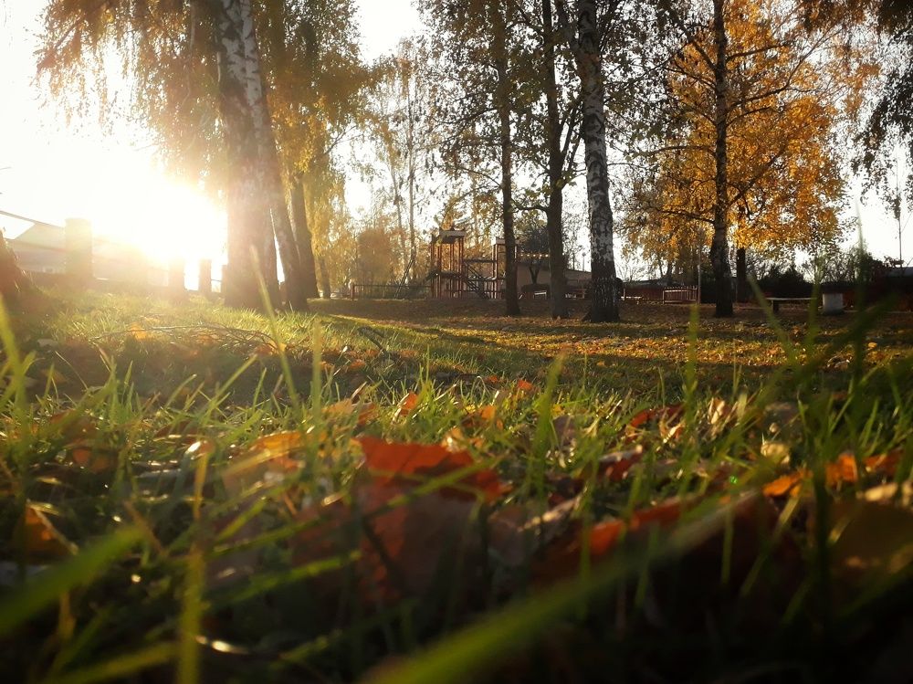 Photograph by Кристина Шляхова