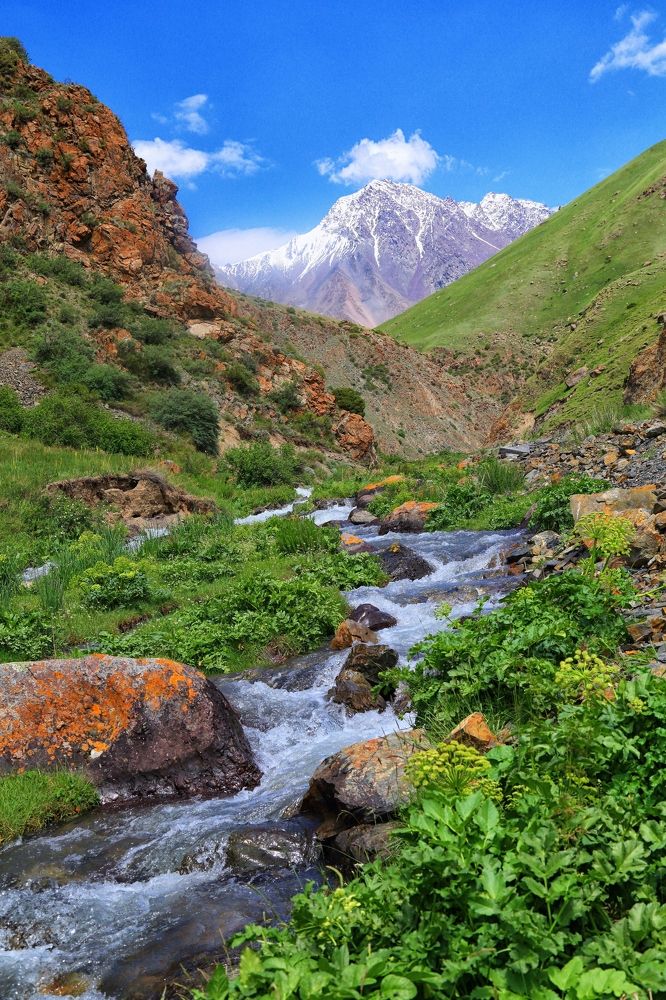 Фотография автора Татьяна Меньшикова