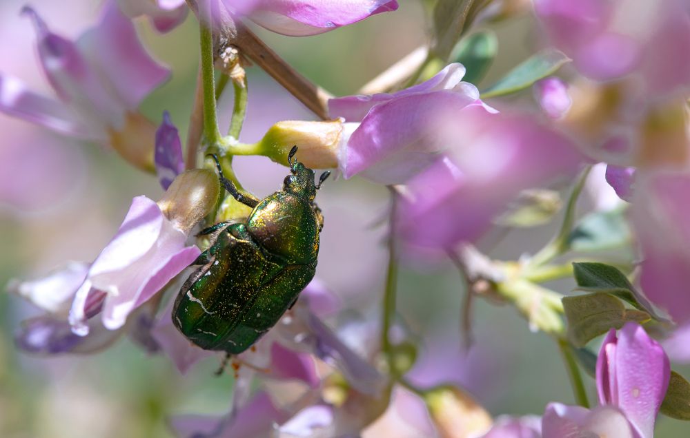 Фотография автора Татьяна Меньшикова