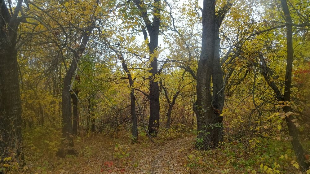 Photograph by Елена Мясникова