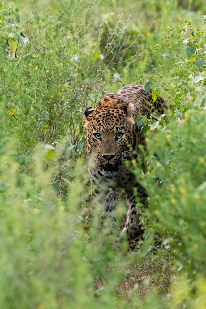 Photograph by Ishaan Shrimali