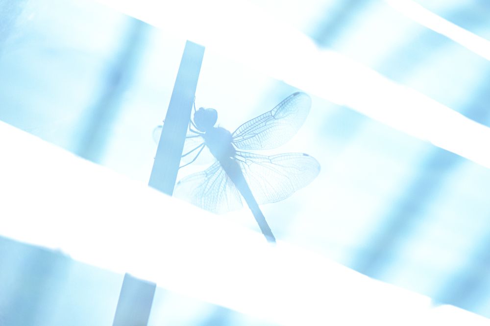 Photograph by Ishaan Shrimali