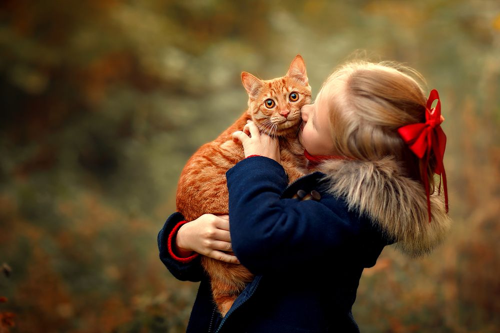 Photograph by Марина Фрейман