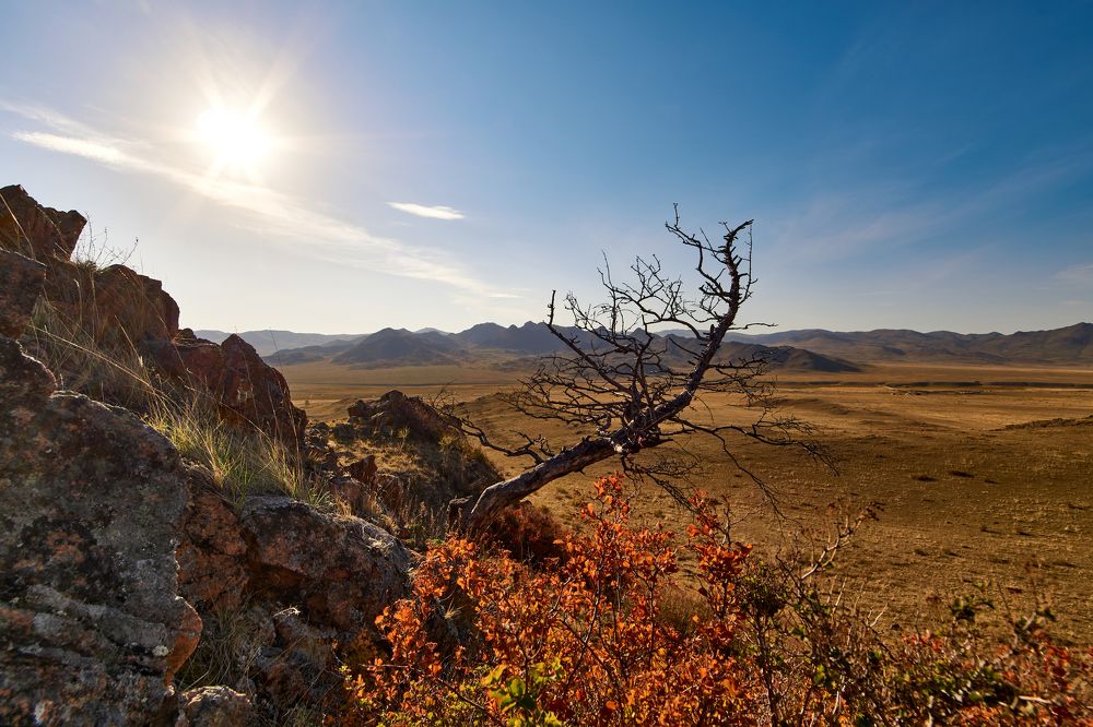 Солнечный сентябрь.