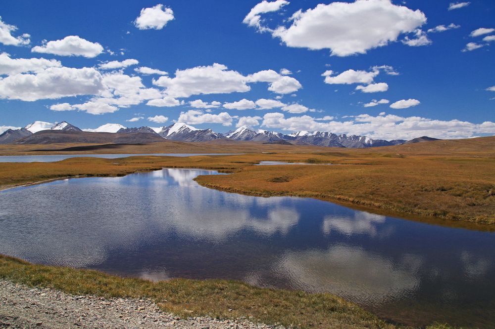 Фотография автора Татьяна Меньшикова