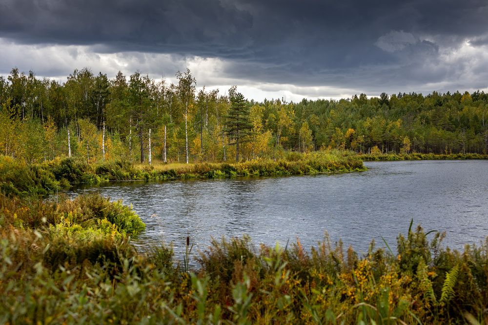 Photograph by Дмитрий Сдобин