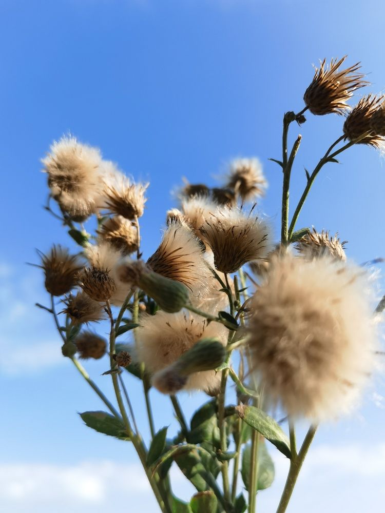 Photograph by Анна Петриенко